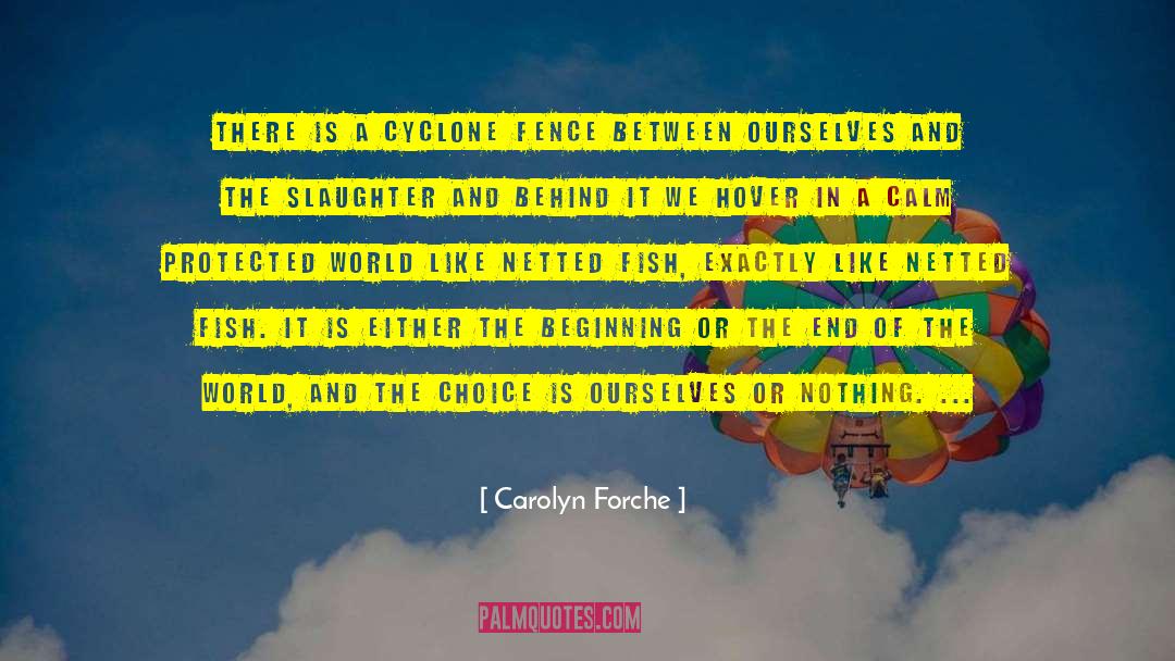 Cyclone quotes by Carolyn Forche