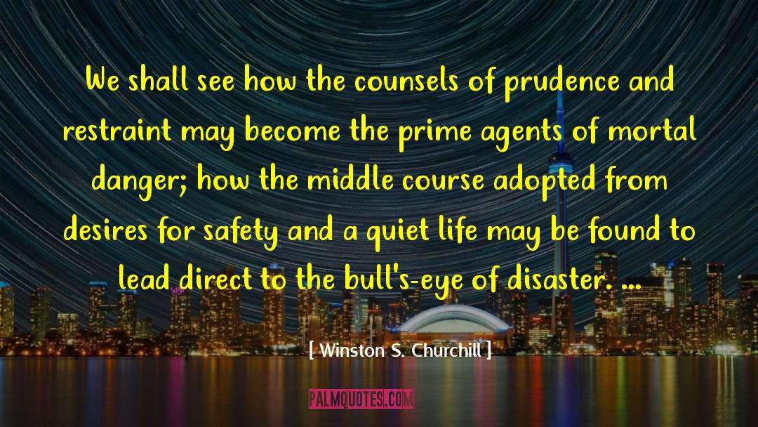 Cyclopean Eye quotes by Winston S. Churchill