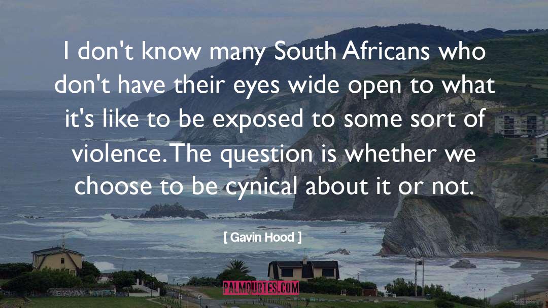 Cynical quotes by Gavin Hood