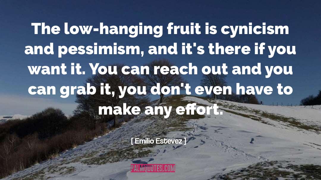 Cynicism quotes by Emilio Estevez