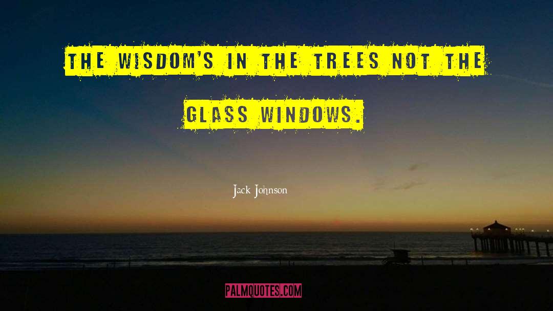 Cypress Trees quotes by Jack Johnson
