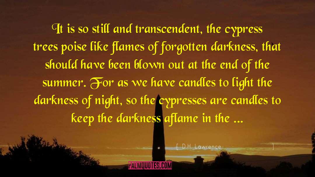 Cypress Trees quotes by D.H. Lawrence