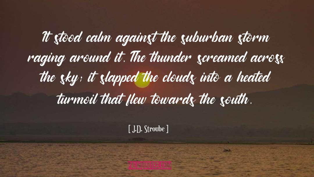 Cytokine Storm quotes by J.D. Stroube