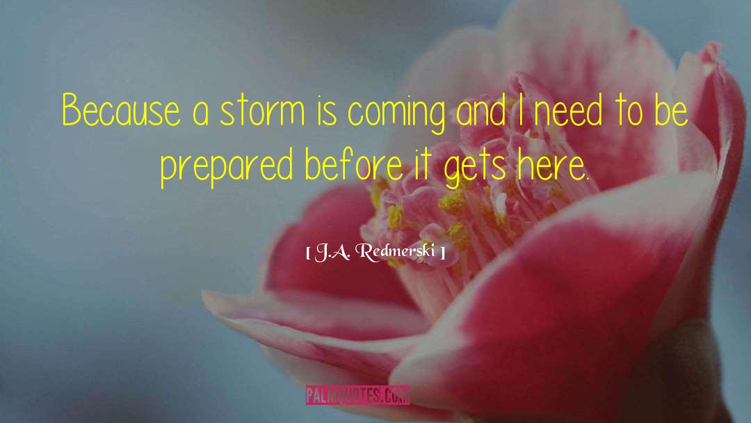 Cytokine Storm quotes by J.A. Redmerski