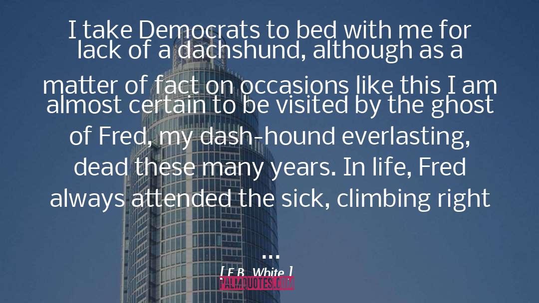 Dachshund quotes by E.B. White