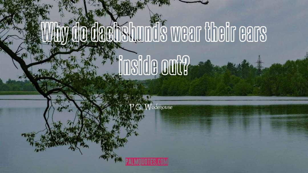 Dachshunds quotes by P.G. Wodehouse