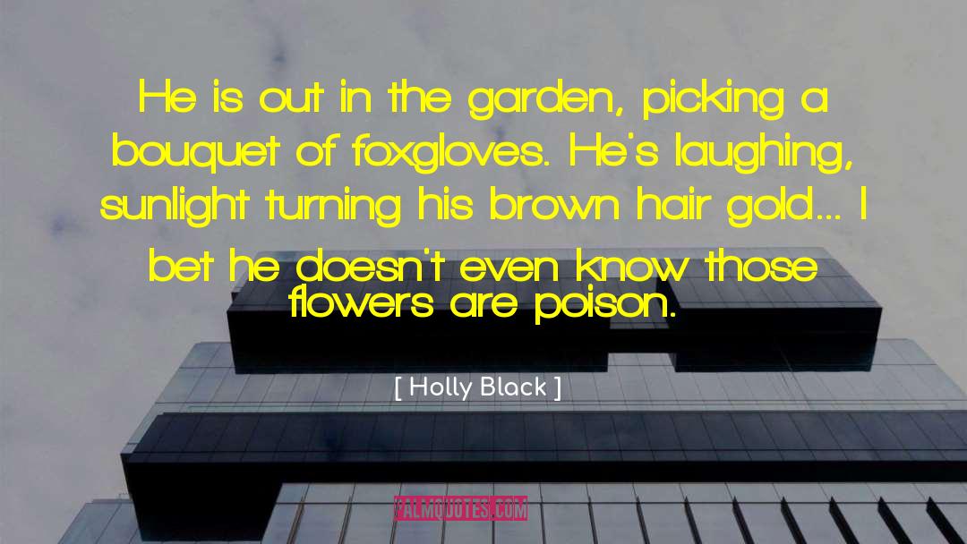 Daemon Black quotes by Holly Black