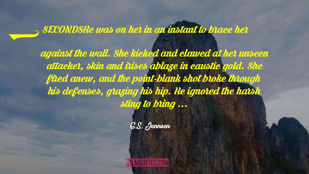 Daemon S Pov quotes by G.S. Jennsen