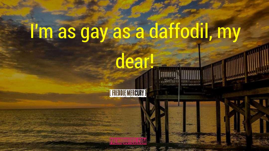 Daffodil quotes by Freddie Mercury