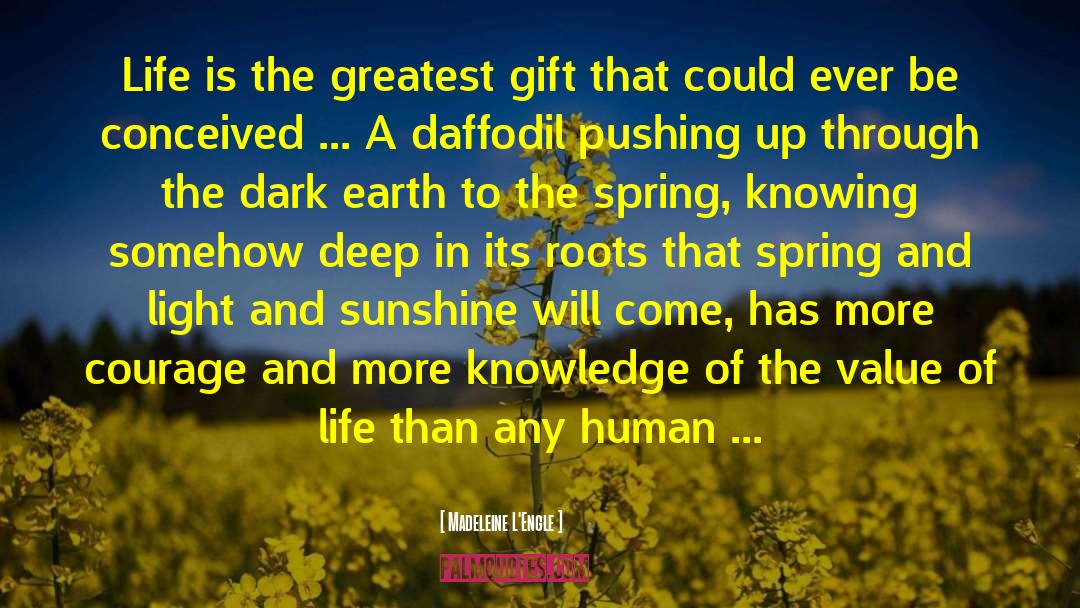 Daffodil quotes by Madeleine L'Engle