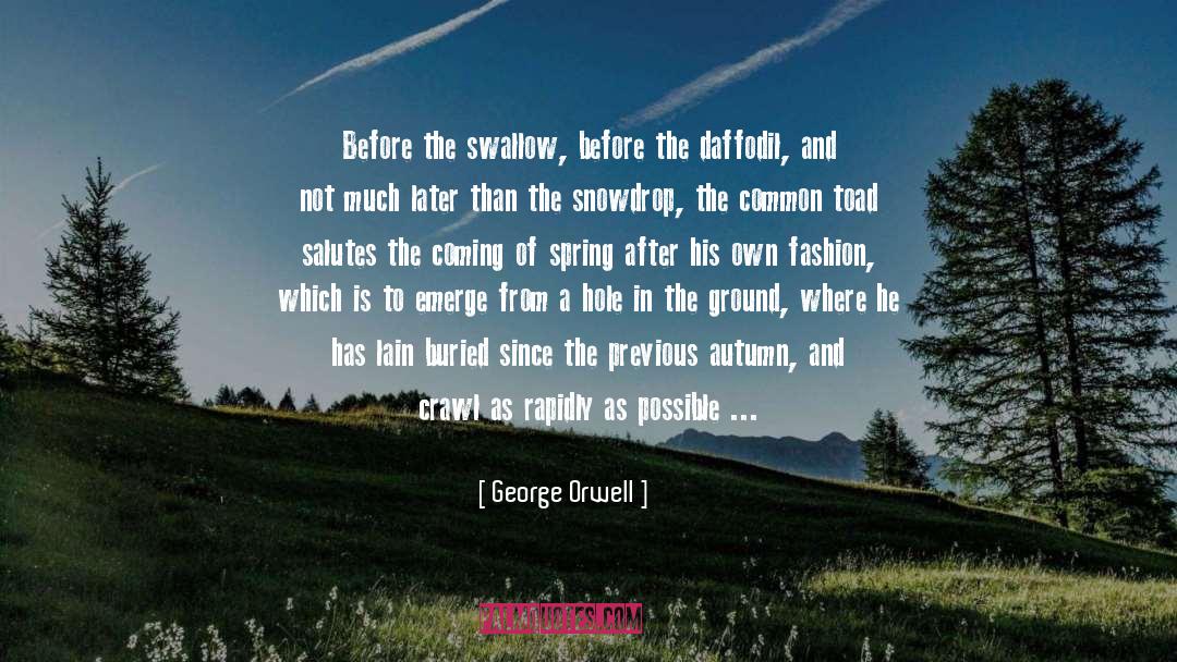 Daffodil quotes by George Orwell