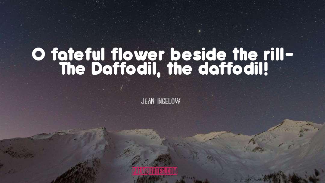 Daffodil quotes by Jean Ingelow