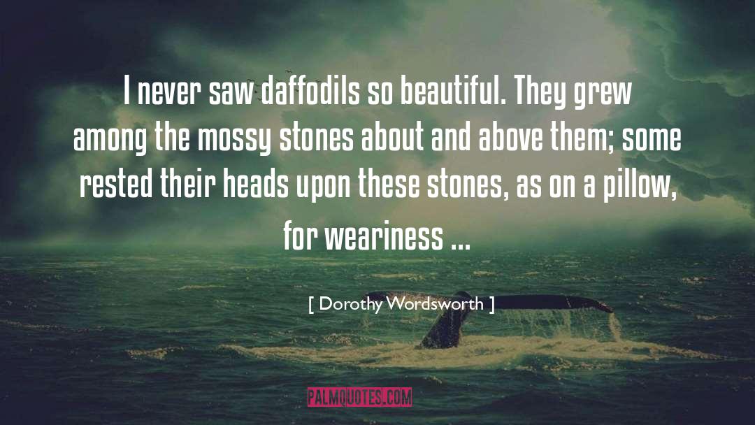 Daffodils quotes by Dorothy Wordsworth