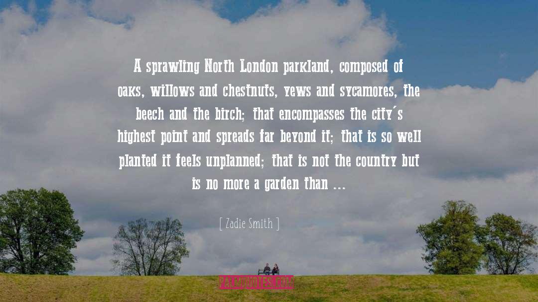 Dahlia London quotes by Zadie Smith