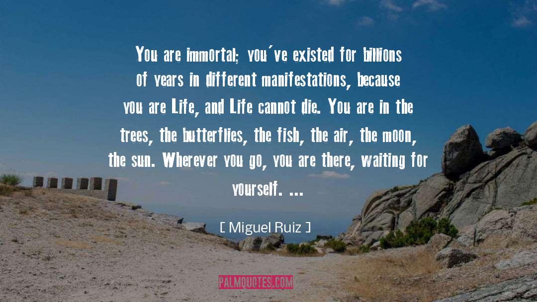 Daikin Air Conditioners quotes by Miguel Ruiz