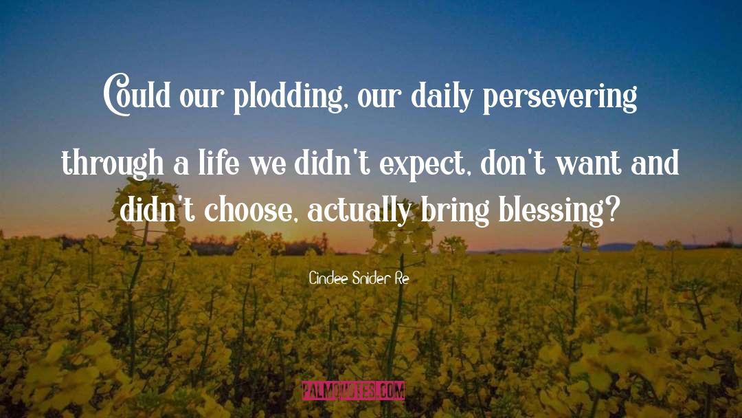 Daily Actions quotes by Cindee Snider Re