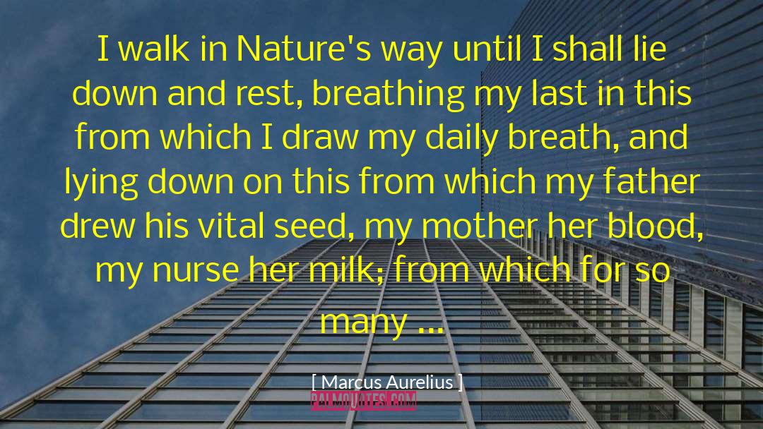 Daily Breath quotes by Marcus Aurelius