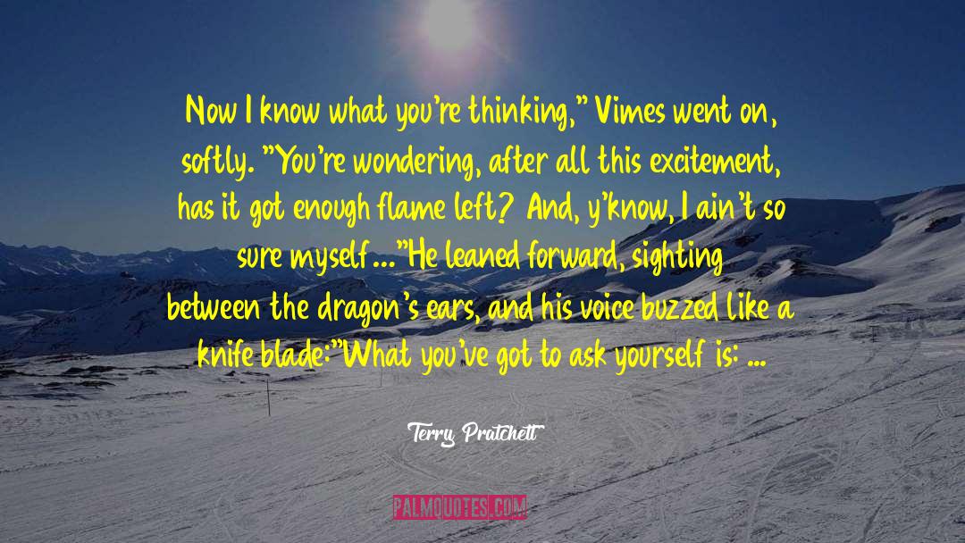 Daily Excitement quotes by Terry Pratchett