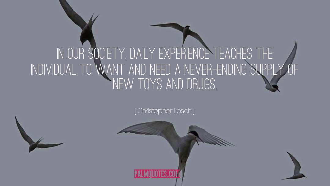 Daily Experience quotes by Christopher Lasch