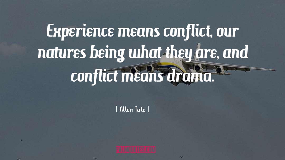 Daily Experience quotes by Allen Tate