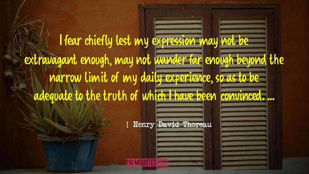 Daily Experience quotes by Henry David Thoreau