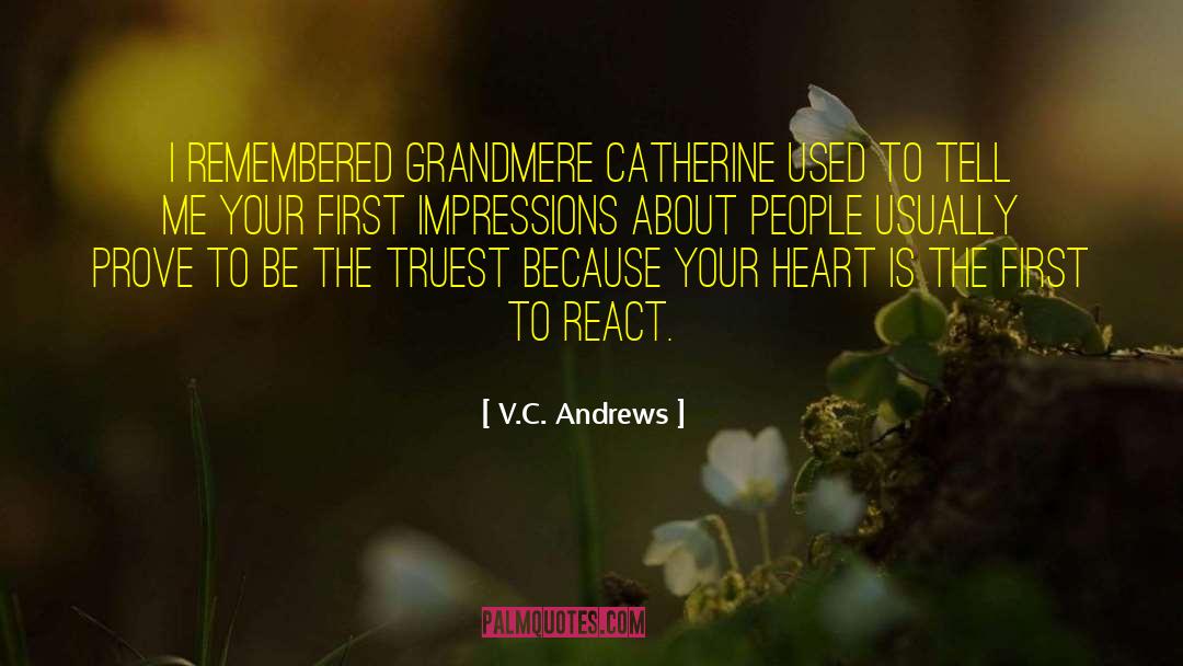 Daily Impressions quotes by V.C. Andrews