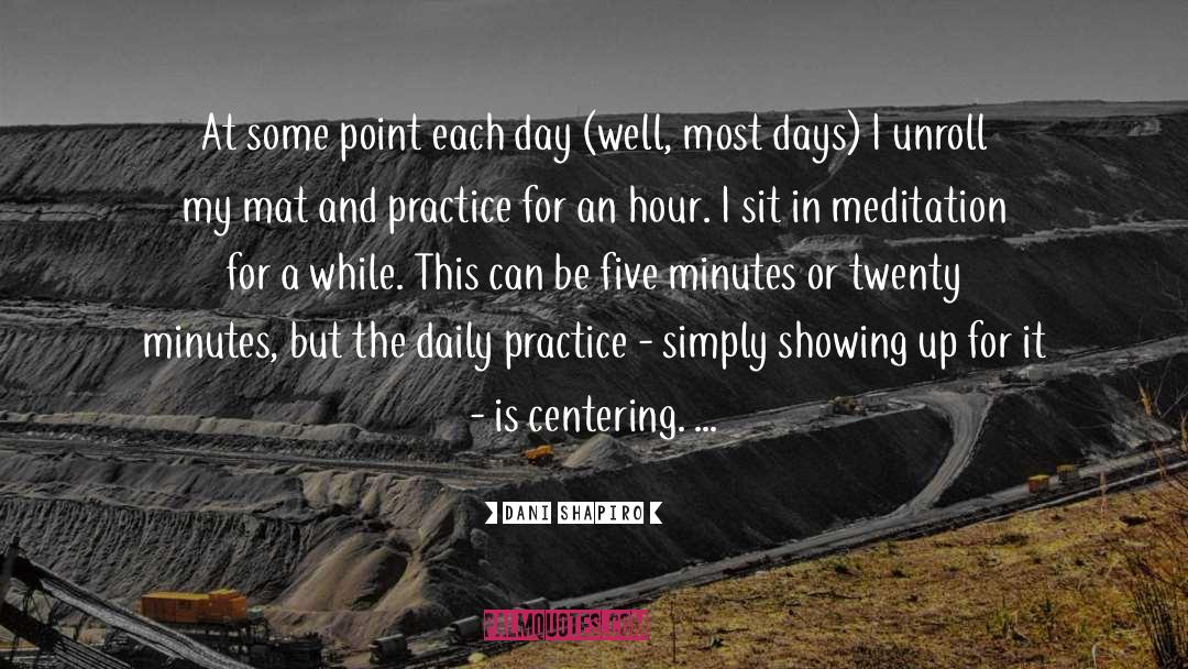 Daily Practice quotes by Dani Shapiro