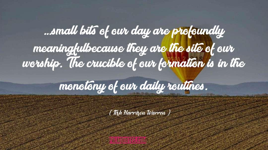 Daily Routines quotes by Tish Harrison Warren