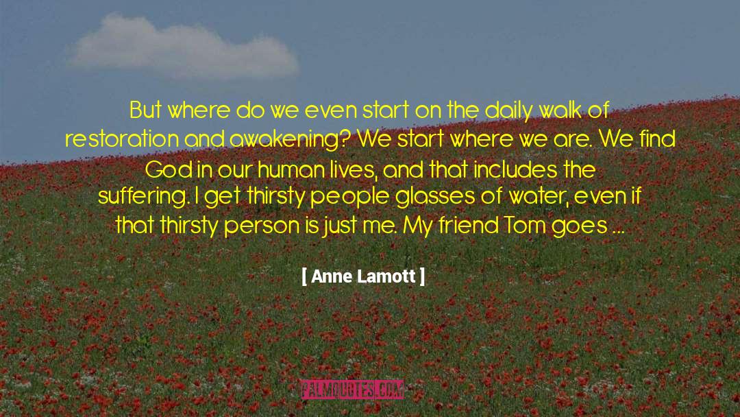 Daily Show Interview quotes by Anne Lamott