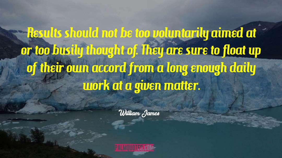 Daily Work quotes by William James