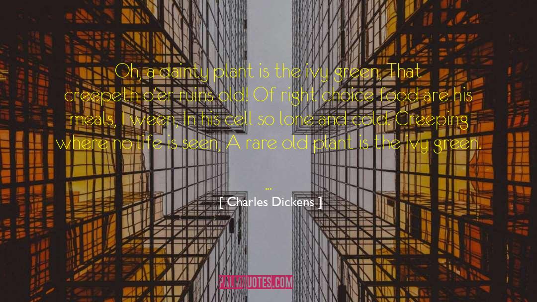 Dainty quotes by Charles Dickens