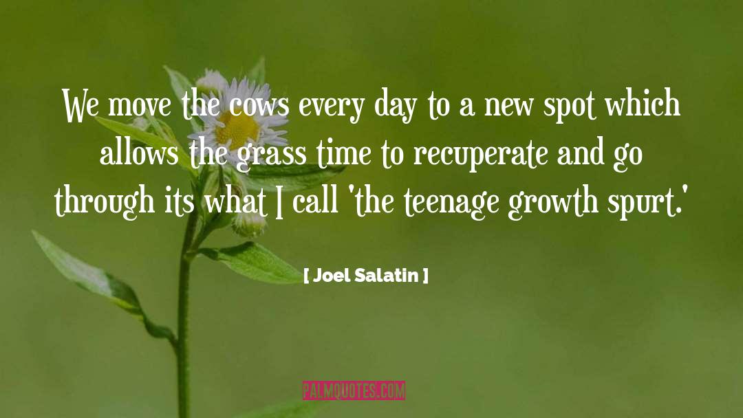 Dairy Cows quotes by Joel Salatin