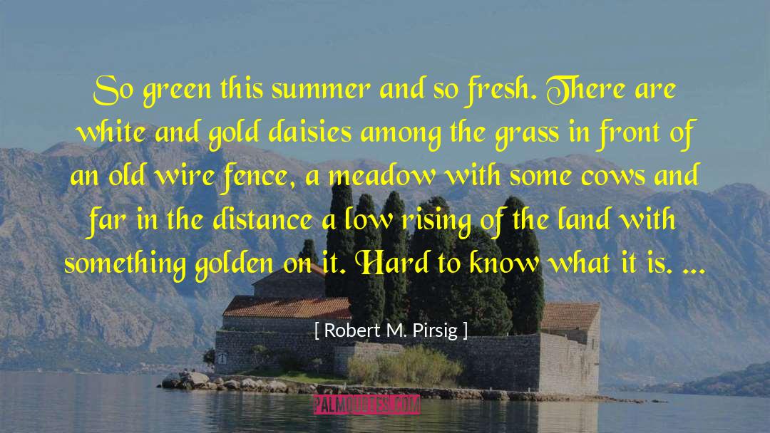 Daisies quotes by Robert M. Pirsig
