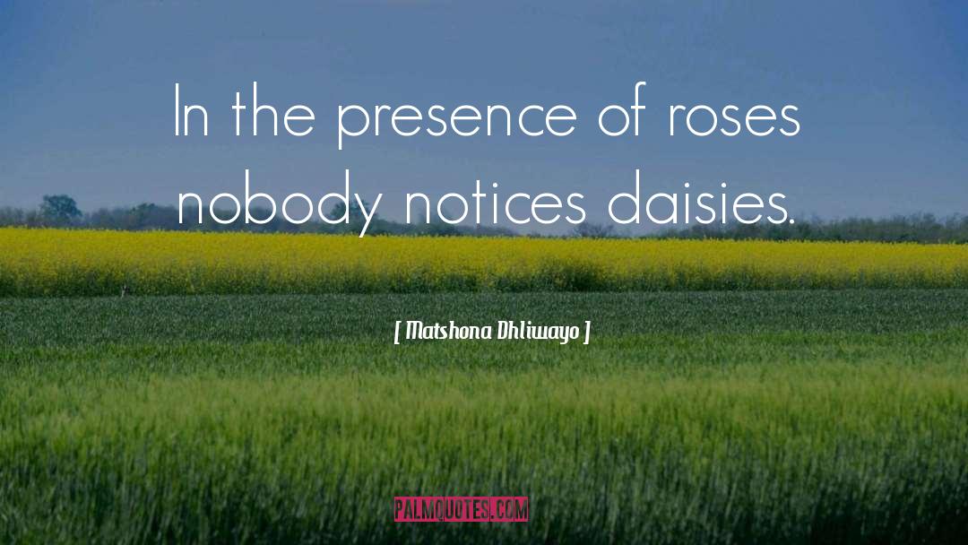 Daisies quotes by Matshona Dhliwayo