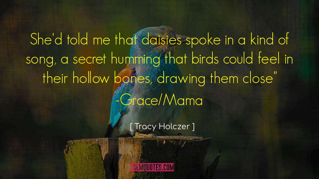 Daisies quotes by Tracy Holczer