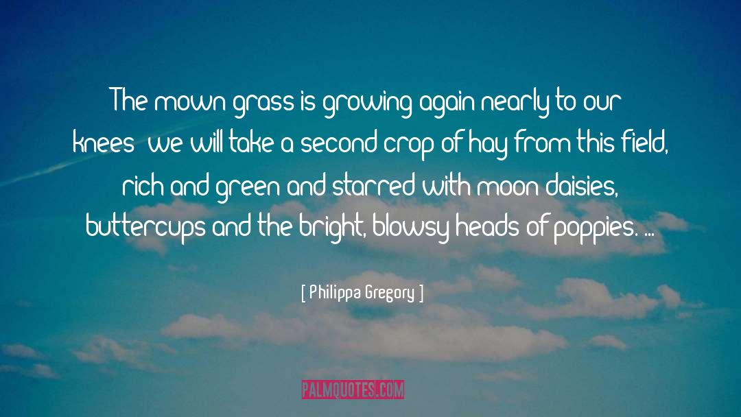 Daisies quotes by Philippa Gregory