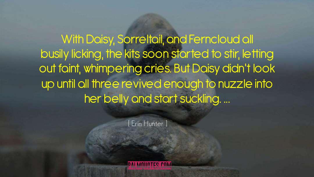 Daisy Calloway quotes by Erin Hunter