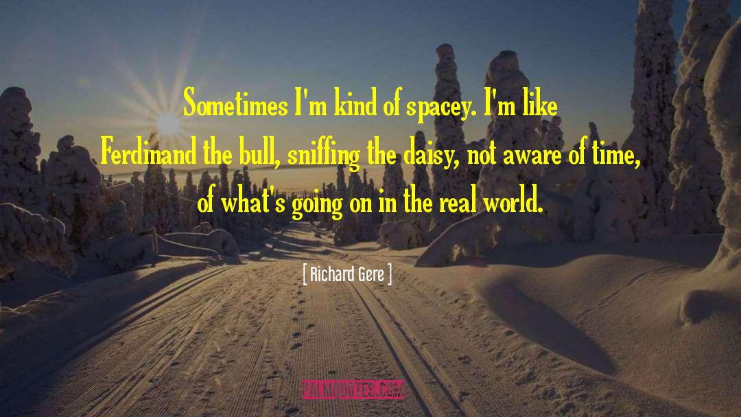 Daisy Cutter quotes by Richard Gere