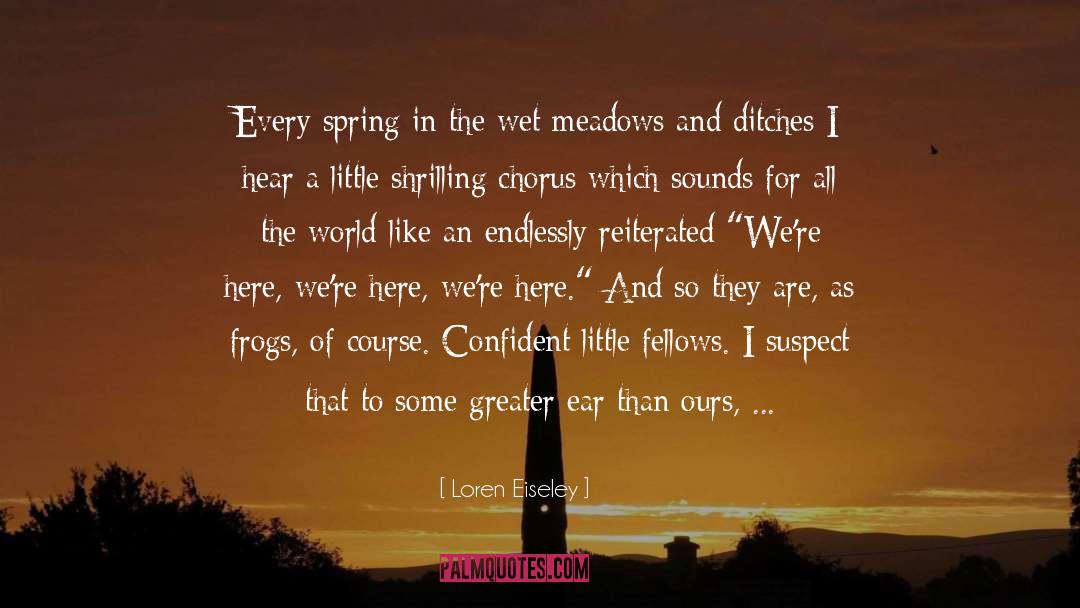 Daisy Meadows quotes by Loren Eiseley