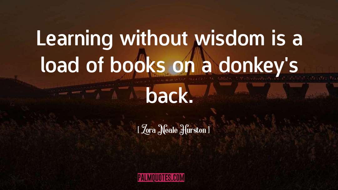 Dalai Lamas Book Of Wisdom quotes by Zora Neale Hurston