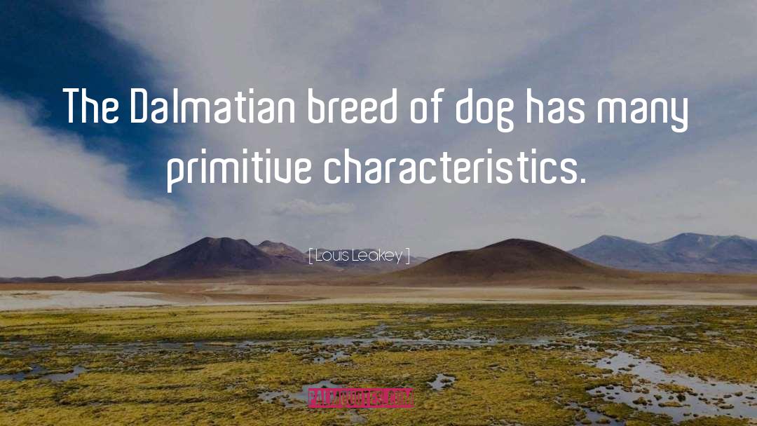 Dalmatians quotes by Louis Leakey