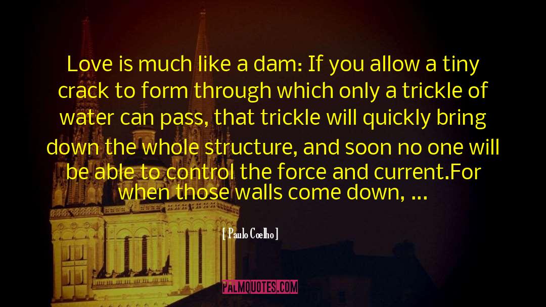 Dam quotes by Paulo Coelho