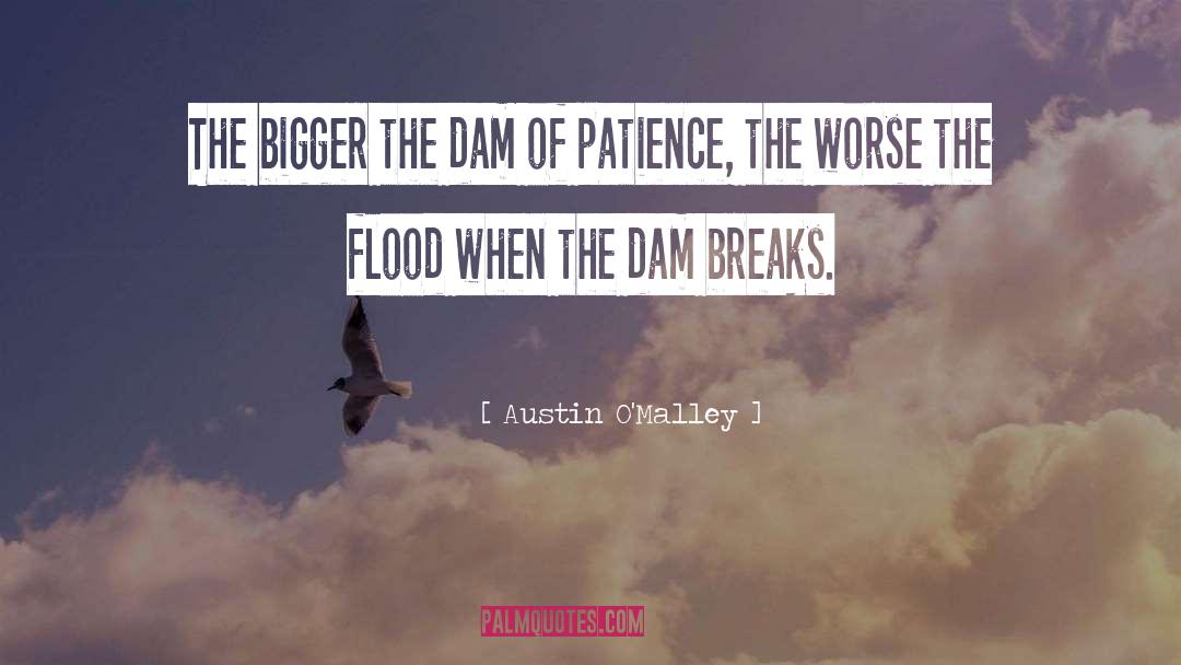 Dam quotes by Austin O'Malley