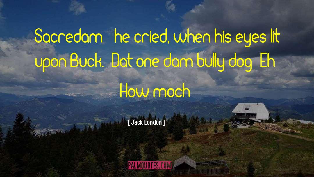 Dam quotes by Jack London