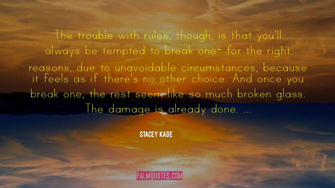 Damage Already Done quotes by Stacey Kade