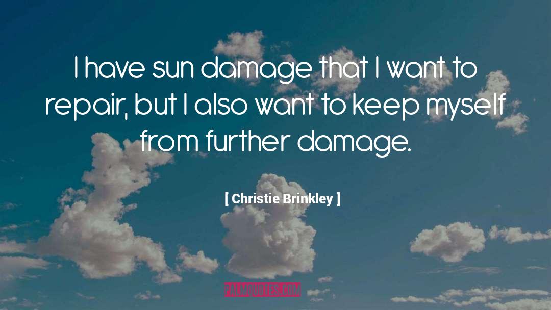 Damage quotes by Christie Brinkley