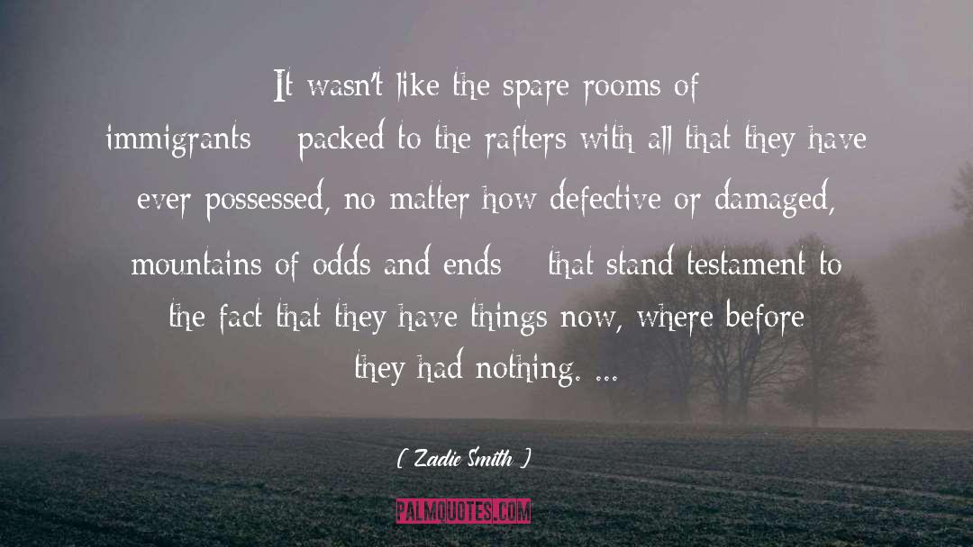Damaged And The Outlaw quotes by Zadie Smith