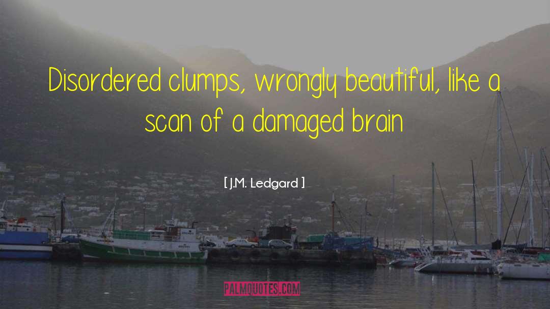 Damaged Goods quotes by J.M. Ledgard