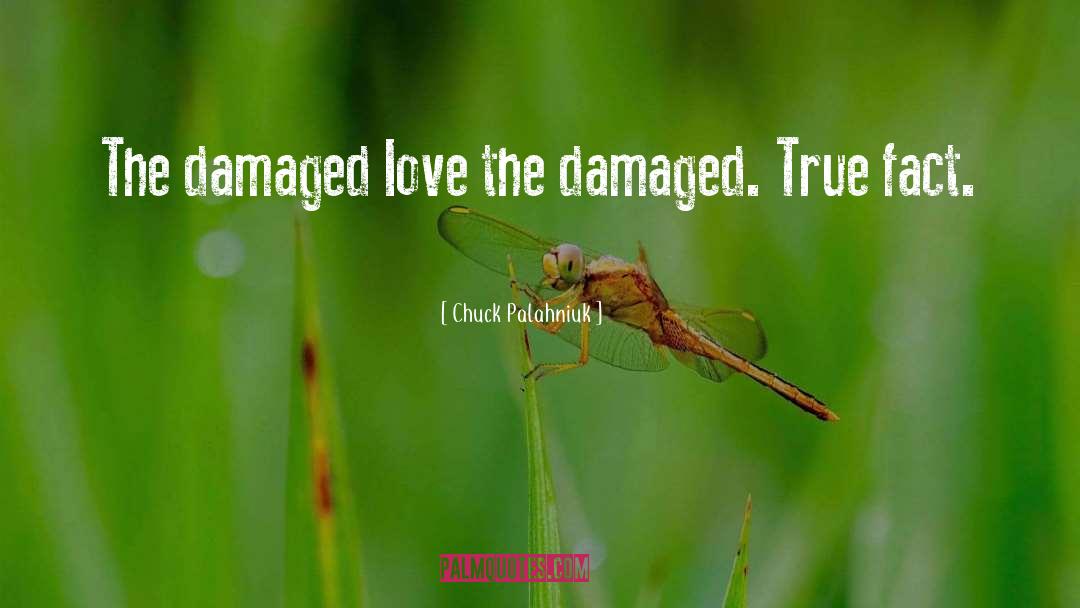 Damaged Love quotes by Chuck Palahniuk