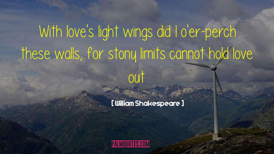 Damaged Love quotes by William Shakespeare